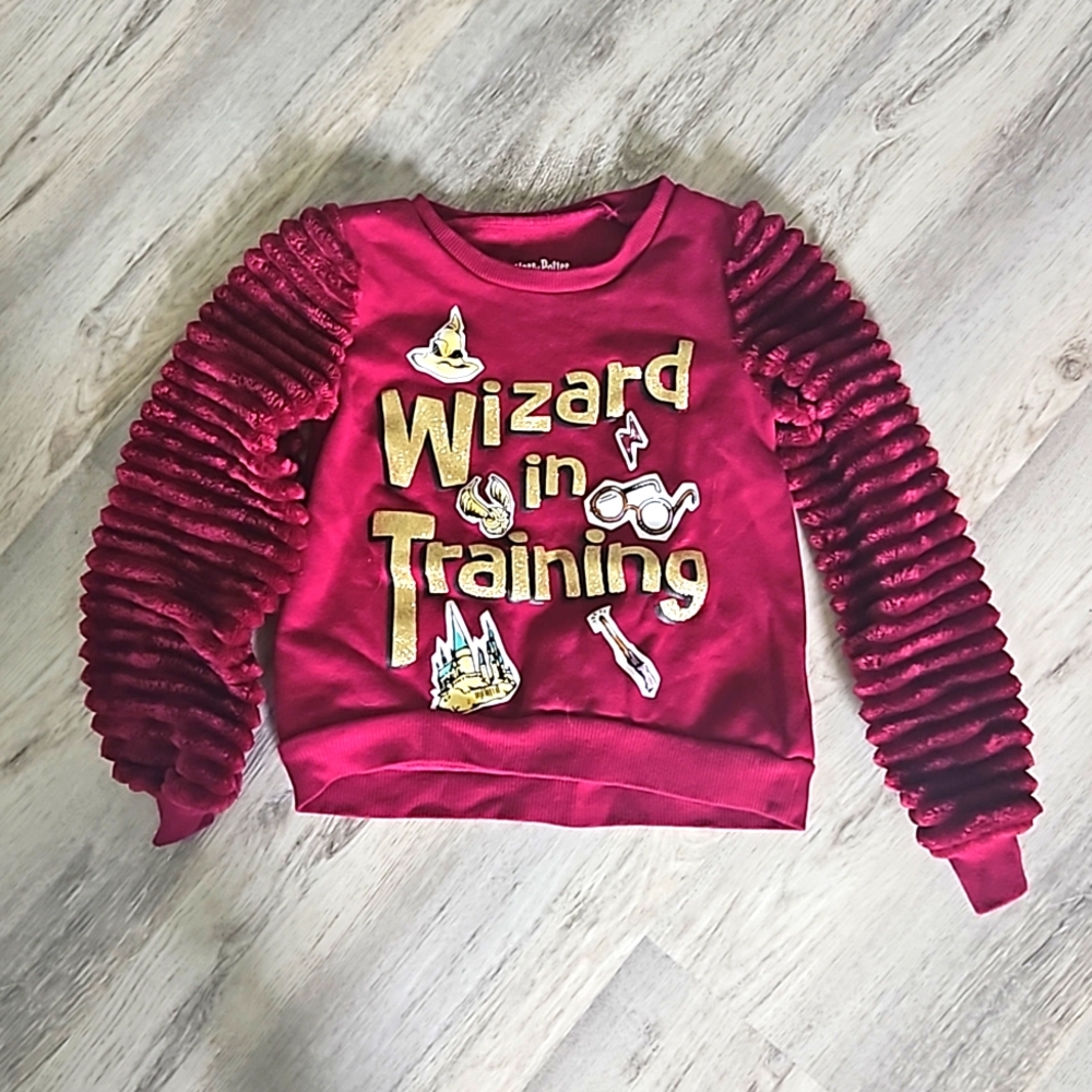 Harry potter sweater